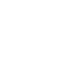 NIC Logo